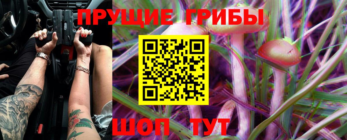 Воткинск  Псилоцибиновые грибы MAGIC MUSHROOMS  Псилоцибиновые грибы GOLDEN TEACHER  Вход с VPN 